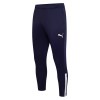 Puma teamLIGA Training Pants Peacoat-White