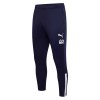 Puma teamLIGA Training Pants Peacoat-White