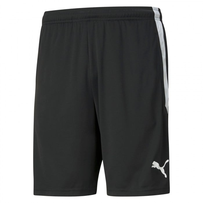 Puma teamLIGA Training Shorts