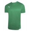 Puma teamLIGA Jersey Pepper Green-White