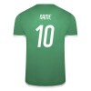 Puma teamLIGA Jersey Pepper Green-White
