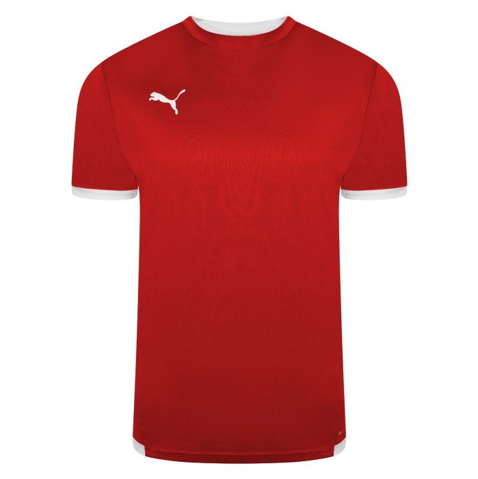 Puma teamLIGA Jersey