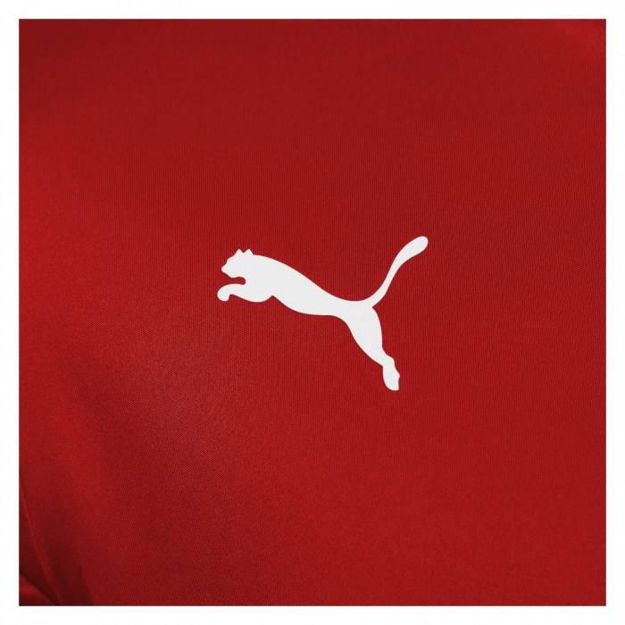 Puma teamLIGA Jersey