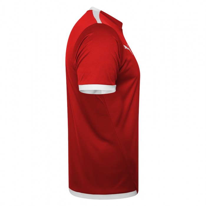 Puma teamLIGA Jersey