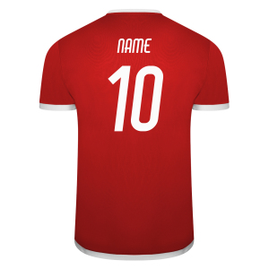 Puma teamLIGA Jersey