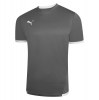 Puma teamLIGA Jersey Smoked Pearl-White