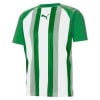 Puma teamLIGA Striped Jersey Pepper Green-White