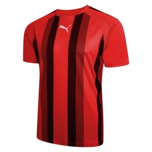 Puma teamLIGA Striped Jersey