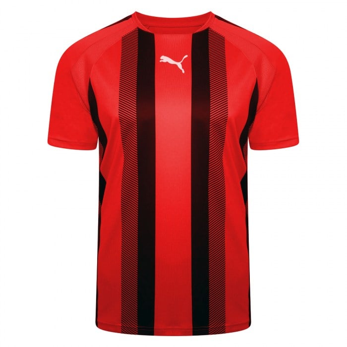 Puma teamLIGA Striped Jersey