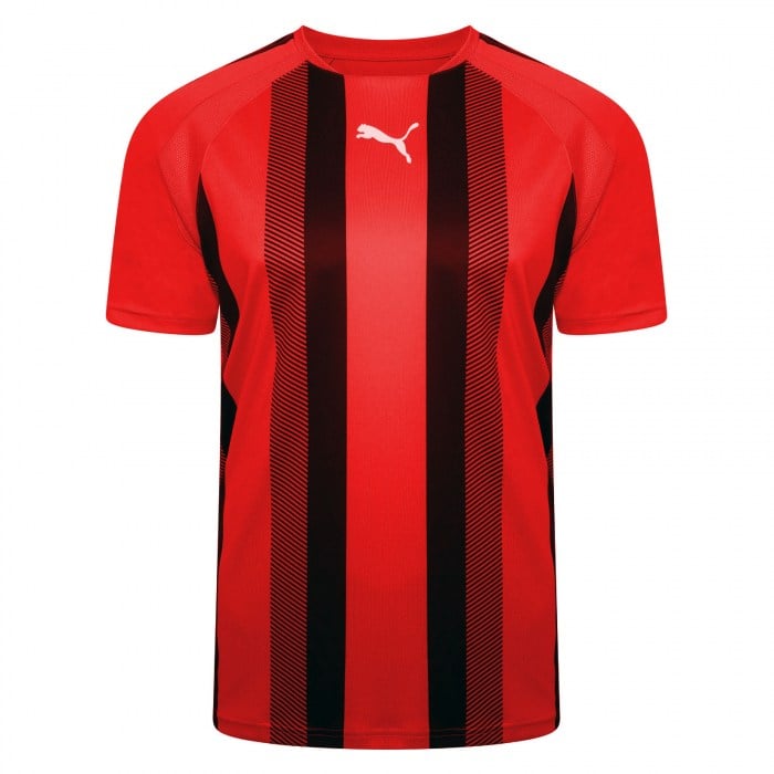 Puma teamLIGA Striped Jersey