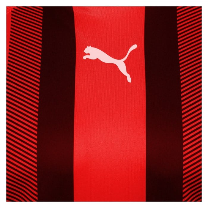 Puma teamLIGA Striped Jersey