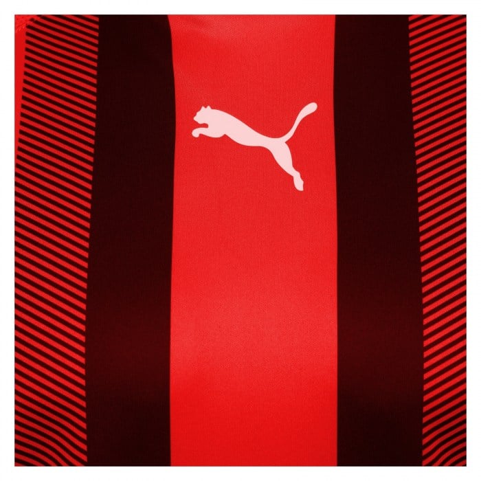 Puma teamLIGA Striped Jersey