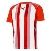 Puma teamLIGA Striped Jersey Red-White