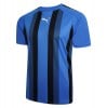 Puma teamLIGA Striped Jersey Royal-Black