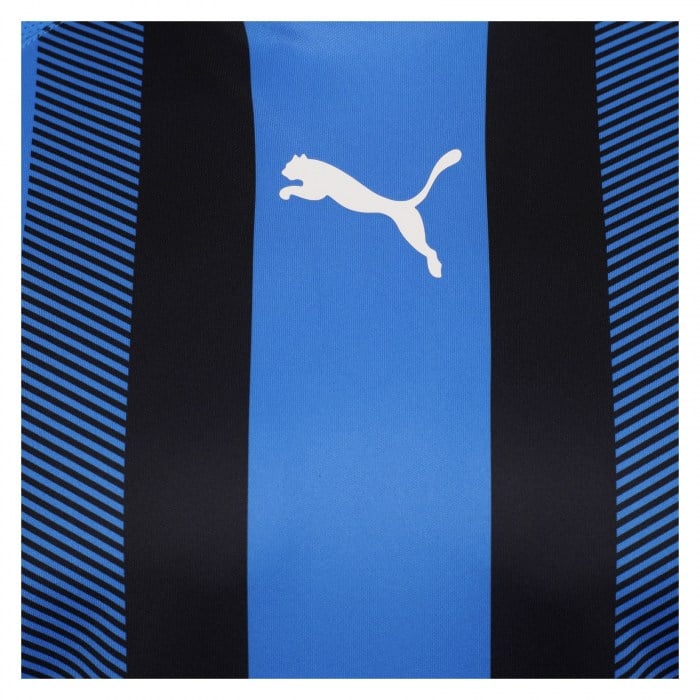 Puma teamLIGA Striped Jersey Royal-Black