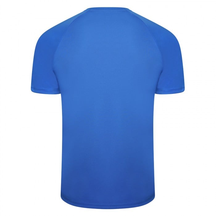 Puma teamLIGA Striped Jersey Royal-Black