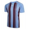 Puma teamLIGA Striped Jersey Team Light Blue-Cordovan