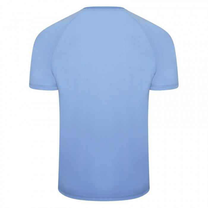 Puma teamLIGA Striped Jersey Team Light Blue-Cordovan
