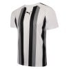 Puma teamLIGA Striped Jersey White-Black