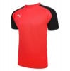 Puma teamPACER Jersey