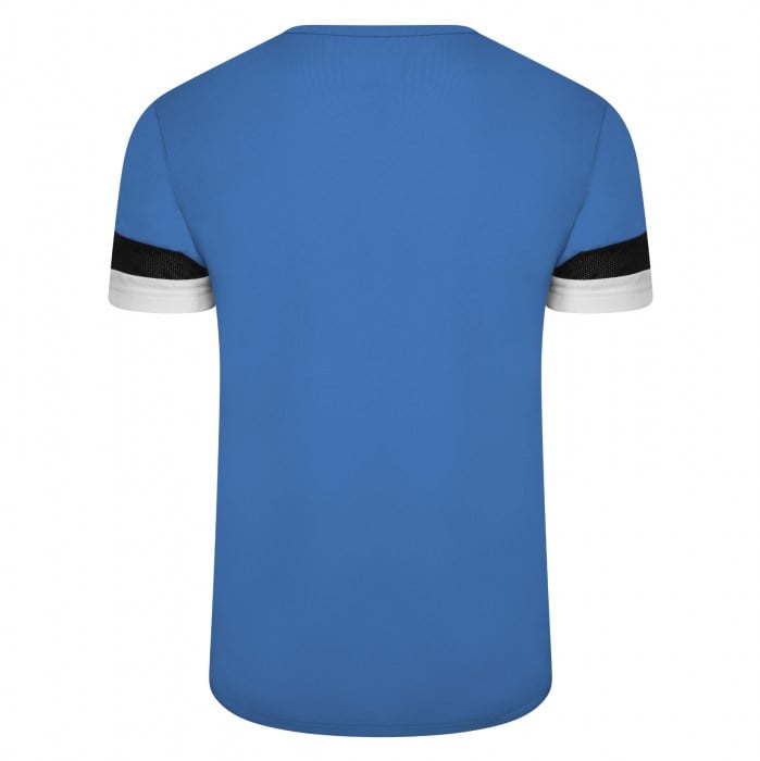 Puma teamRISE Jersey Electric Blue-White