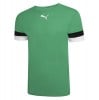 Puma teamRISE Jersey Pepper Green-White