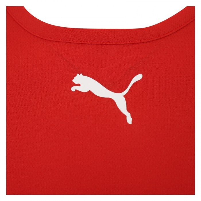 Puma teamRISE Jersey