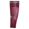 Umbro Diamond Top Sock Leg New Claret-White