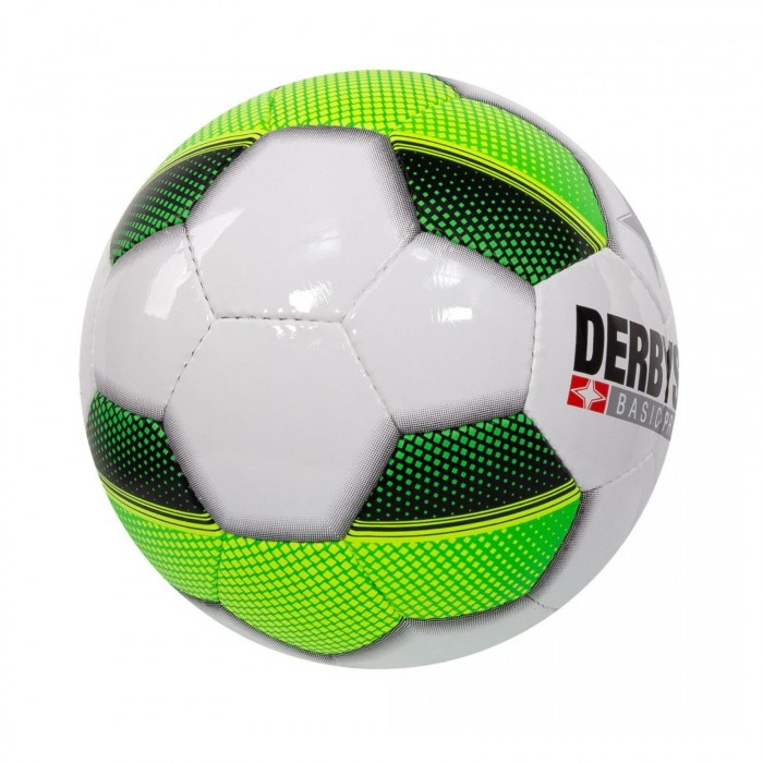 Stanno Futsal Basic Pro TT