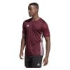 adidas Tabela 23 Jersey Team Maroon-White