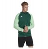 adidas Tiro 23 Competition Training Track Jacket Team Dark Green-Beam Green