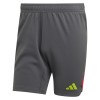 adidas Tiro 23 Pro Goalkeeper Shorts Team Dark Grey-Team College Red