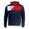 306-DARK NAVY-RED-WHITE-CAT(1)-POS(0)-RAND(plxxq)