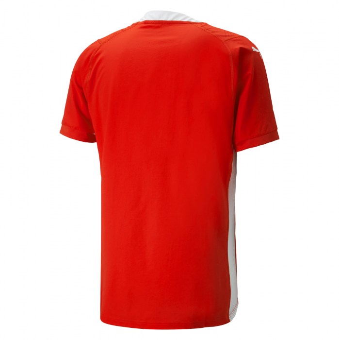 Puma TeamCUP Jersey