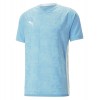 Puma teamCUP Jersey Team Light Blue-White