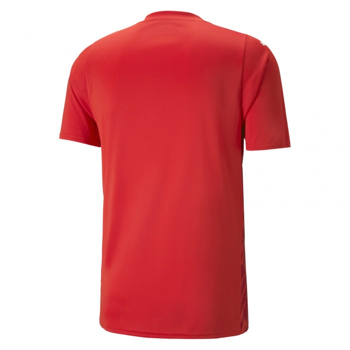 Puma teamCUP Ultimate Jersey