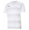 Puma teamVISION Jersey White-Glacier Grey-Black