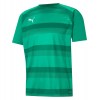 Puma teamVISION Jersey Pepper Green-Power Green-White