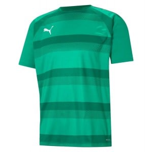 Puma teamVISION Jersey Pepper Green-Power Green-White