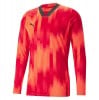 Puma TeamTARGET Goalkeeper  Jersey