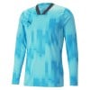 Puma TeamTARGET Goalkeeper  Jersey Blue Atoll
