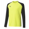 Puma teamPACER Goalkeeper Jersey Fluo Yellow-Black-White