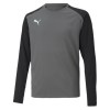 Puma teamPACER Goalkeeper Jersey Smoked Pearl-Black-White