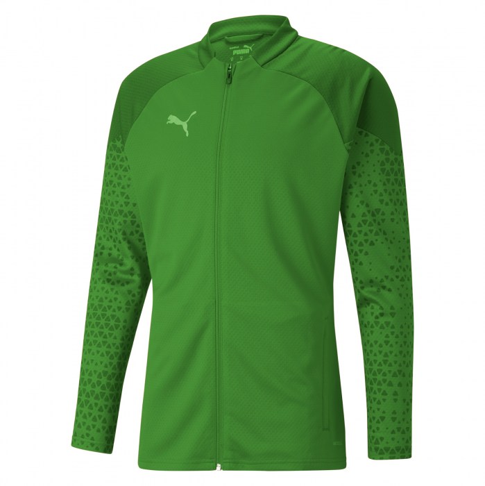 Puma teamCUP Training Jacket Pepper Green