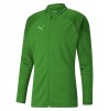 Puma teamCUP Training Jacket Pepper Green