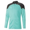 Puma teamCUP Training Jacket Electric Peppermint-Black