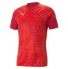 Puma teamCUP Training Jersey