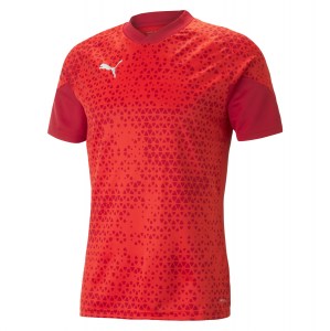 Puma teamCUP Training Jersey