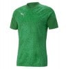 Puma teamCUP Training Jersey Pepper Green