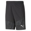 Puma TeamCUP Training Short